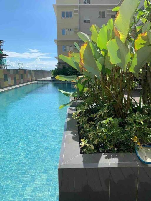 1Br With Extra Room At One Regis- Megaworld Bacolod Eksteriør bilde